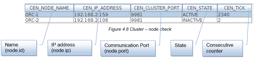Figure 4. Cluster – node check